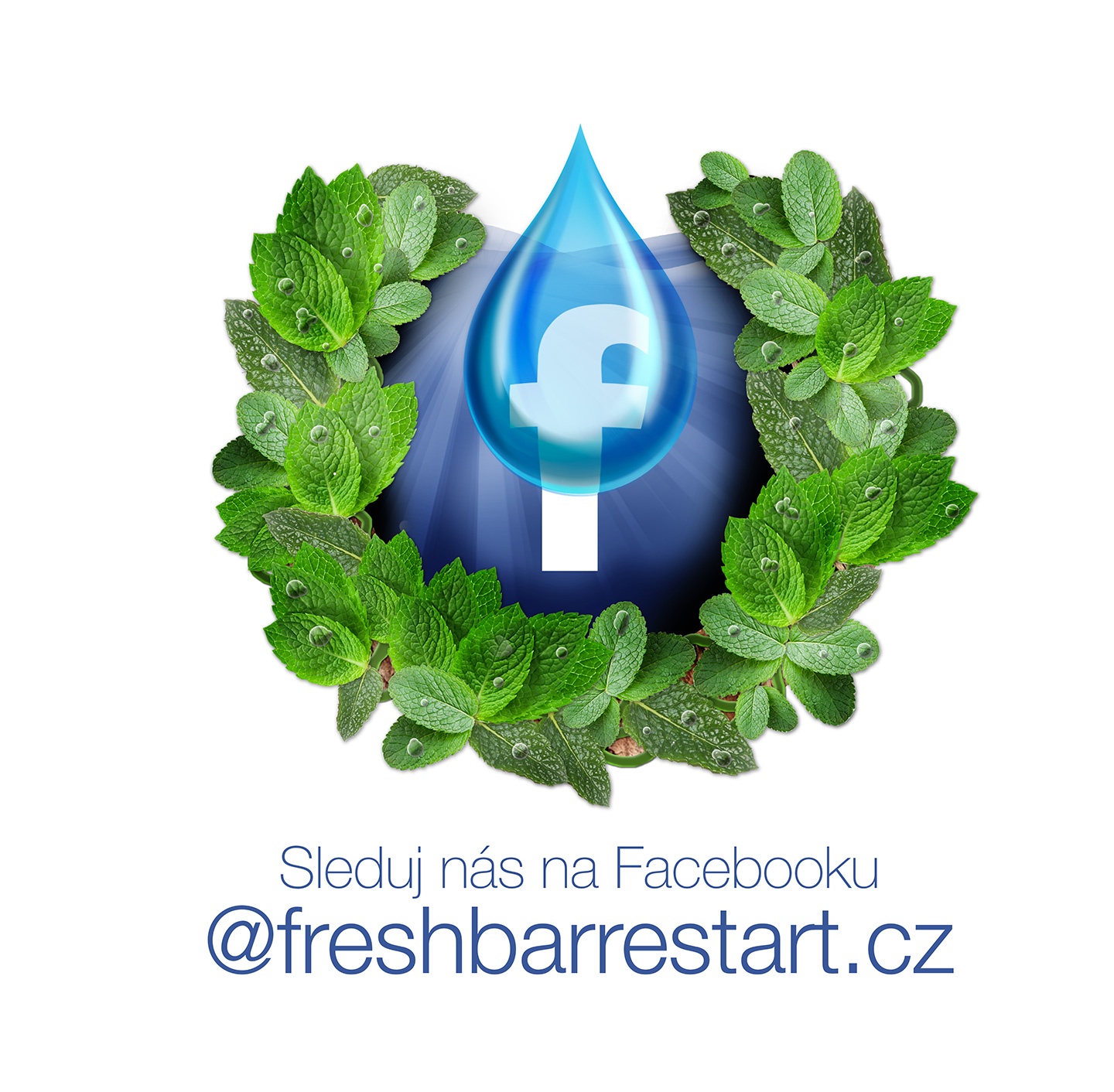 freshbar-samolepka-facebook