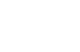 FTVS UK